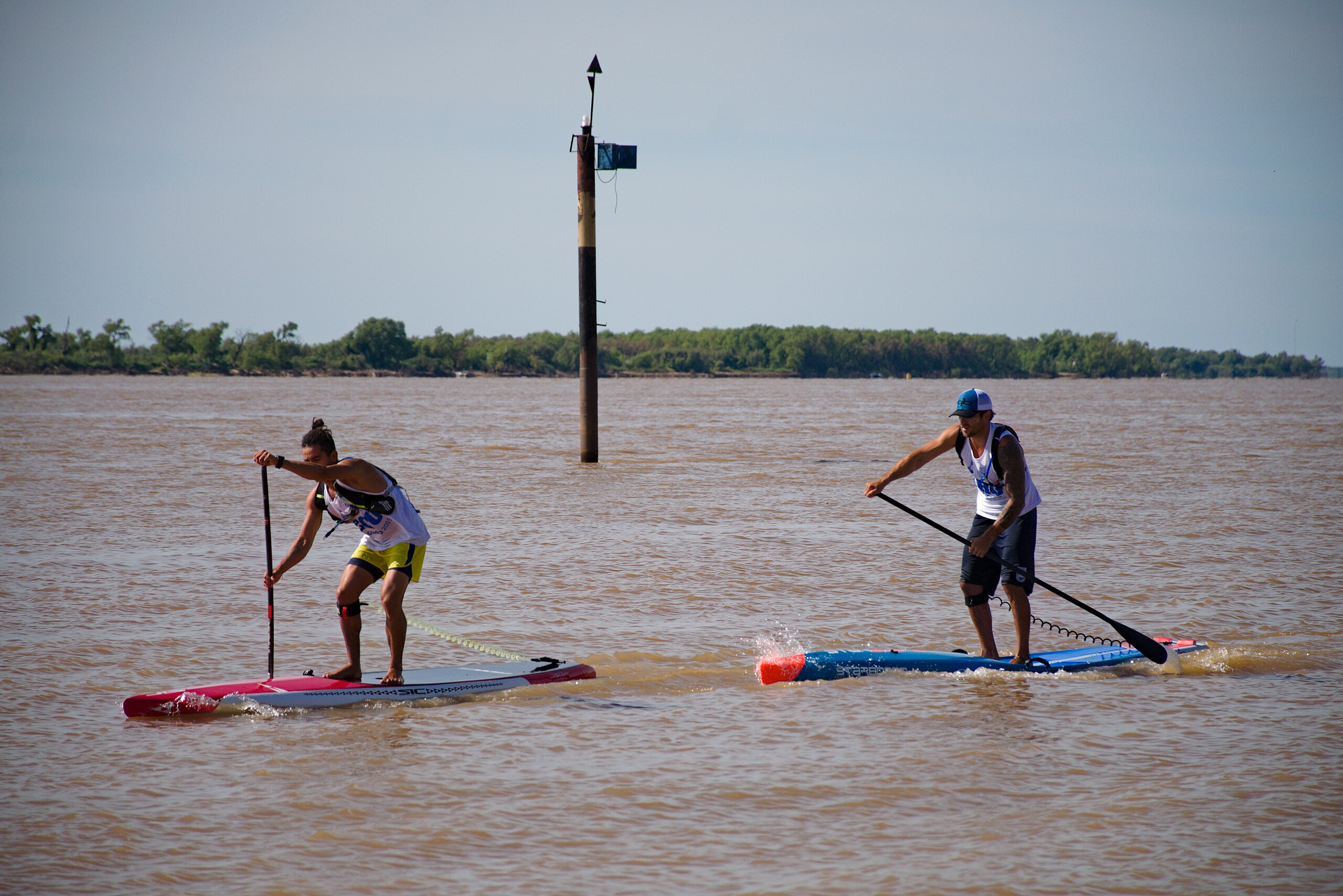 Ganancias de un campeón de pádel: ¿Cuánto puede llegar a ganar?