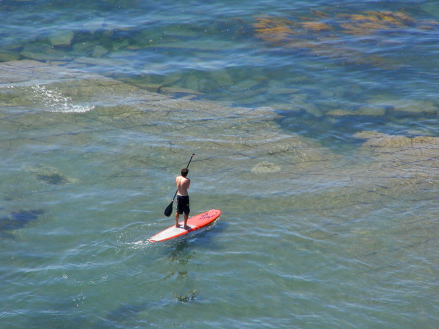 El impacto económico del pádel en España: ¿Cuánto dinero se mueve?