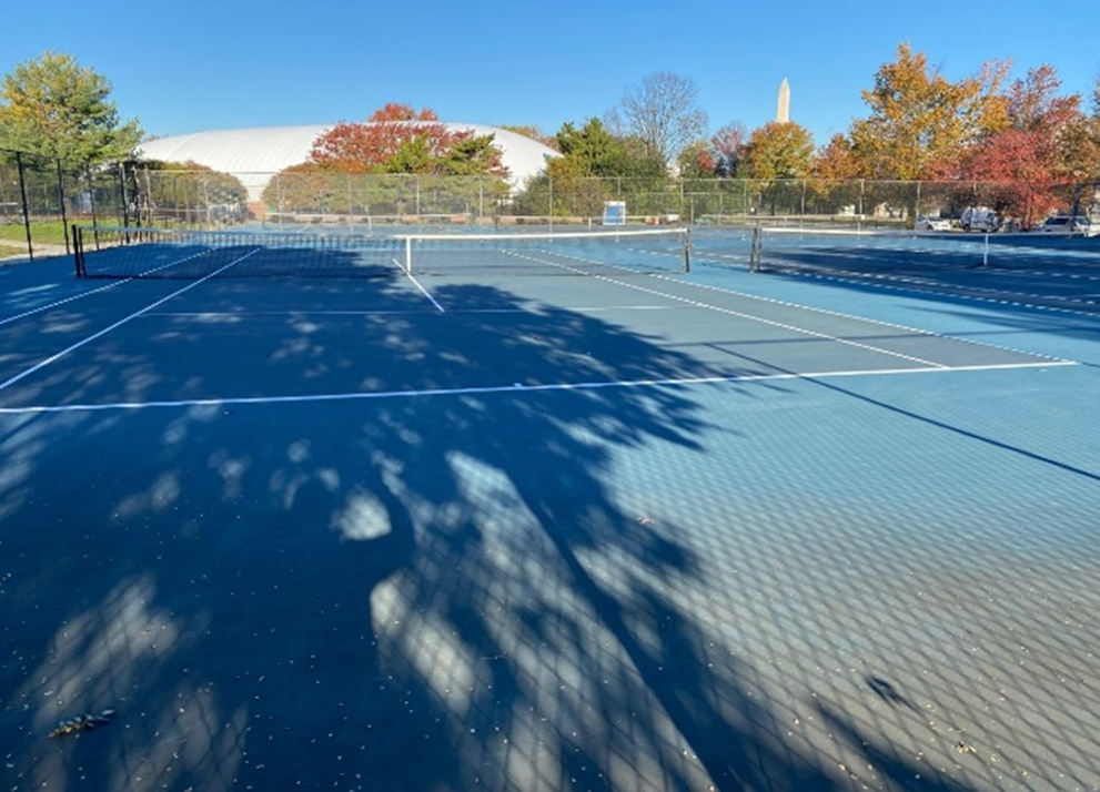 Descubre el tenis: un apasionante deporte en pocas palabras.